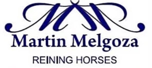 Martin Melgoza Reining Horses