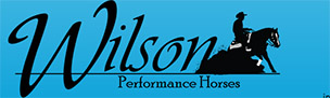 Wilson Performance Horses